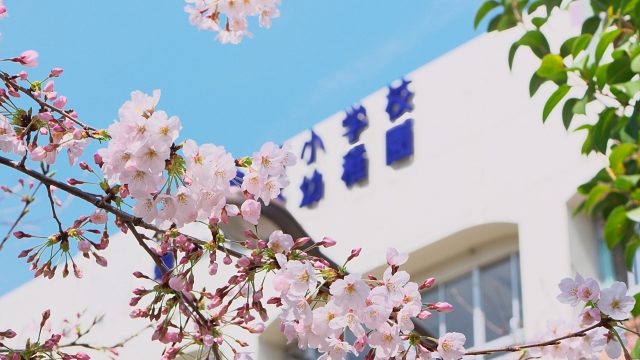 広島の園庭開放