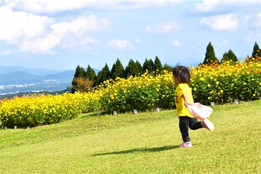 走る子供1歳児