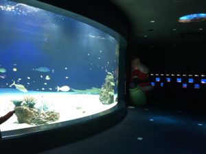 マリホ水族館