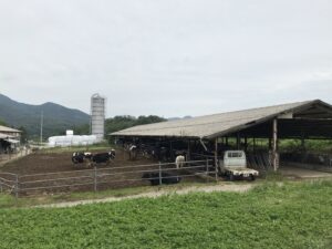 hiroshima-kuboagrifarm 久保アグリファームブログ