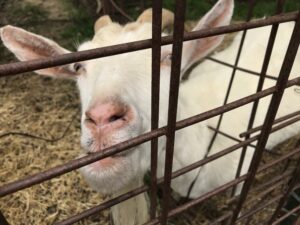 久保アグリファームブログ