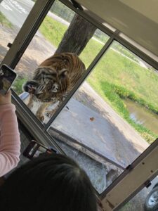 秋吉台サファリランド子連れブログ感想